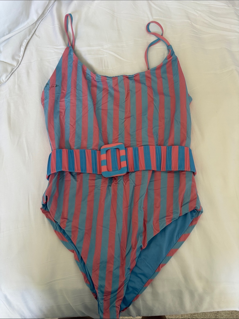 Beach Riot Pink and Blue Striped One-Piece Swimsuit with Belt - FLAWS